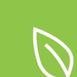Spring Icon
