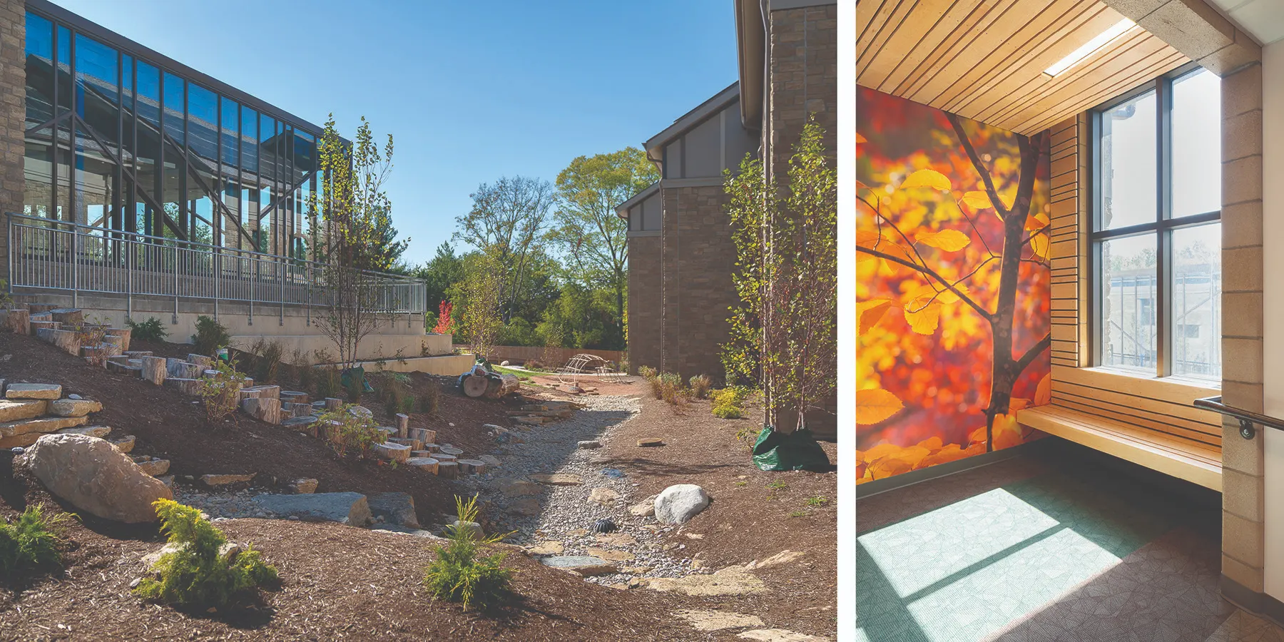 Bethany School – Natural Playscape and Nature-Inspired Interior Photo: Dish Design